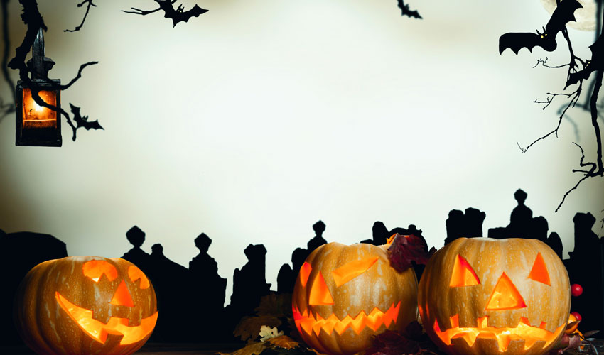 Jack-o-lanterns, bats, spider webs and barren trees in a Halloween landscape