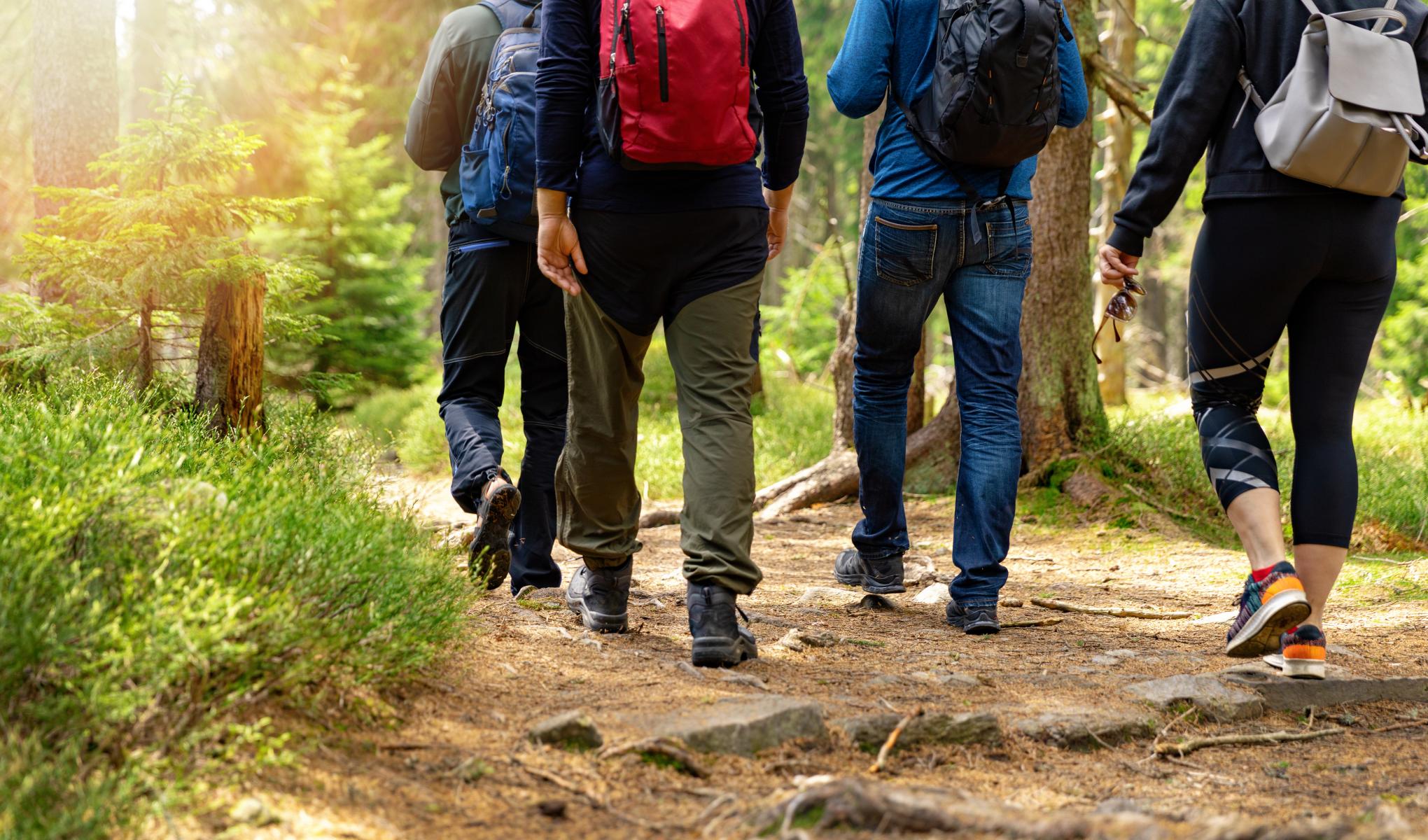 People hiking in nature