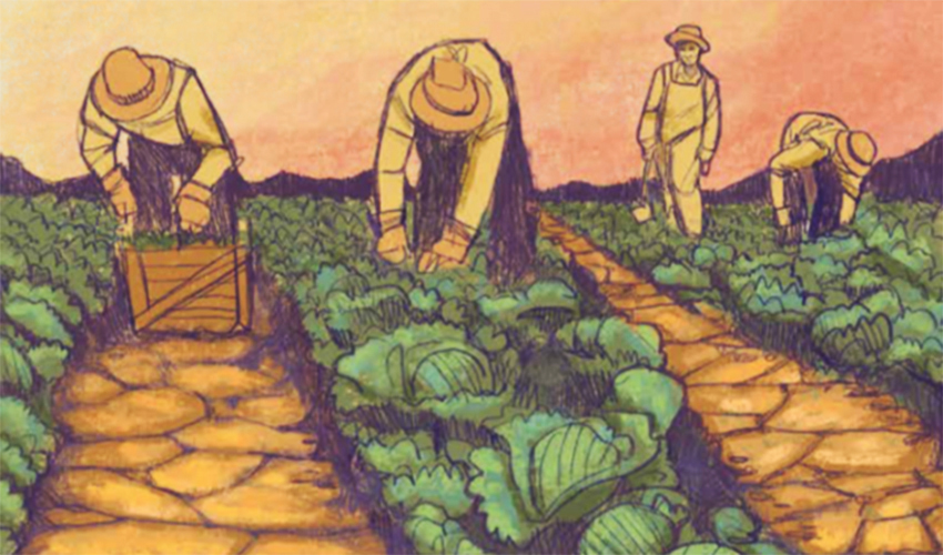 Illustration of farmworkers in the field working.