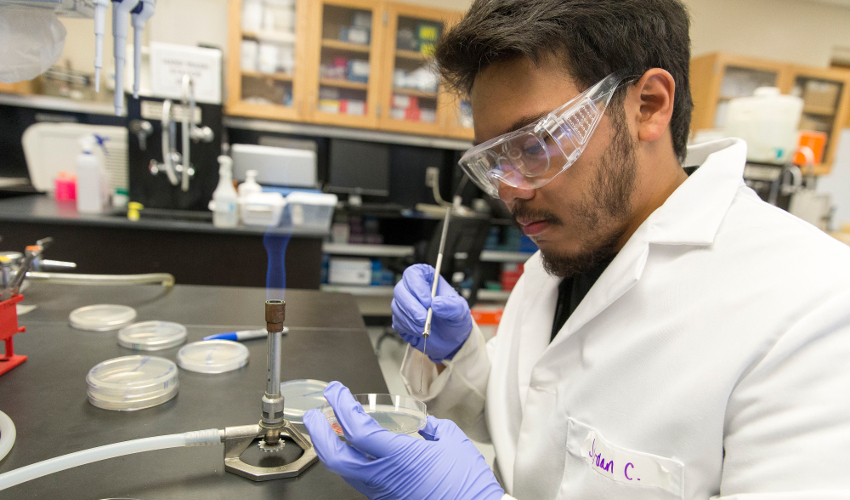 A man in a white lab coat and goggles prods a petri dish next to a small flame in a research laboratory.