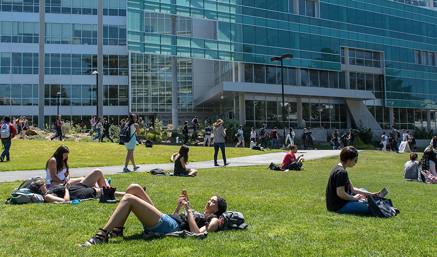 Students studying on the lawn in front of the library.