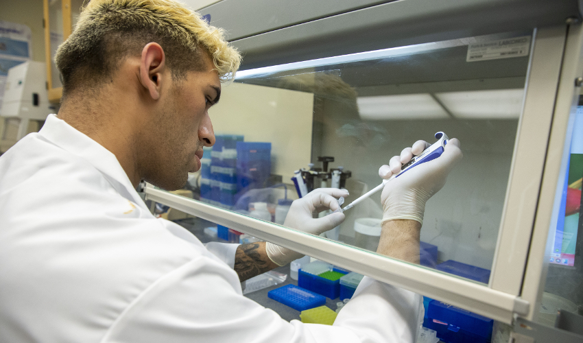 Student wearing lab coat and gloves pipetting samples behind a glass partition