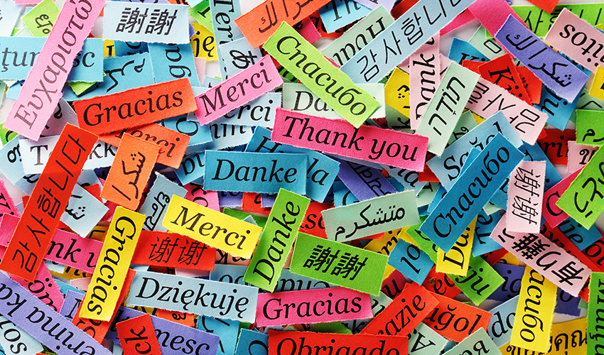 Strips of different colored paper scattered everywhere. On each paper is a word for "thank you" in different languages.