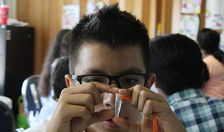 Boy stares at DNA inside a plastic vial