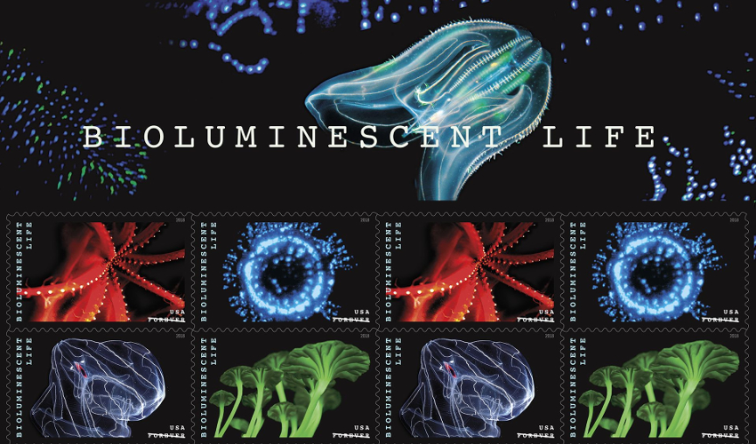 A book of postage stamps featuring various bioluminescent organisms in blue, green and red on a black background