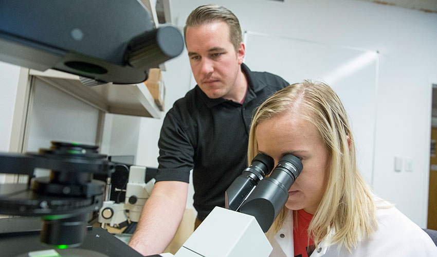 In a laboratory, SF State graduate student Kaylie Marsh and Assistant Professor of Kinesiology Jimmy Bagley look through a microscope at muscle tissue samples taken as part of a study into the effects of weightlessness on muscles