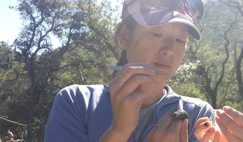 Woman wearing purple pullover and hat holds a pair of tweezers and a small lizard, with a forest in the background