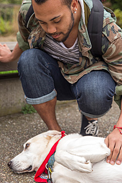 SF State student Jawan Joseph pets Marlow the therapy dog