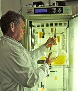 Photo of William Cochlan examining a glass jar containing phytoplankton cells.