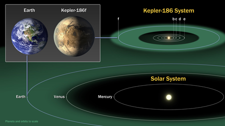 A diagram comparing the planets of the inner solar system to Kepler-186, a five-planet system about 500 light-years from Earth in the constellation Cygnus.