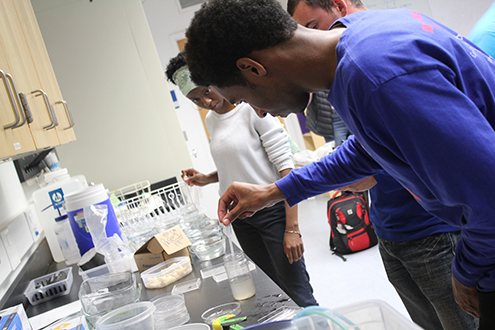 A photo of REU intern Tre Landry and SF State graduate student KeChaunte Johnson in a lab at the Romberg Tiburon Center.