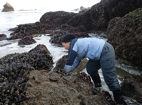 A photo of REU intern Emily King on the Pacific coast.