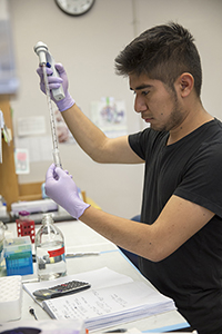 A photo of a student working in a lab