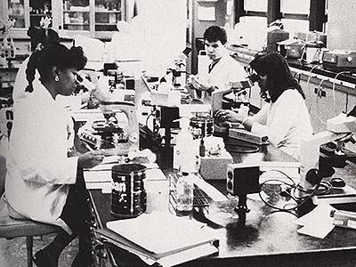 Black and white photo of four students looking at microscopes