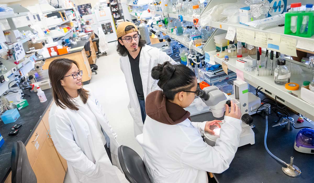 Two students talking to a third student sitting at a microscope