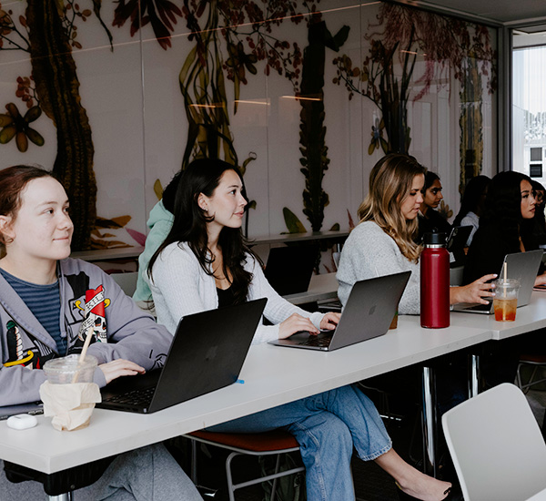 Students with laptops in a classroom