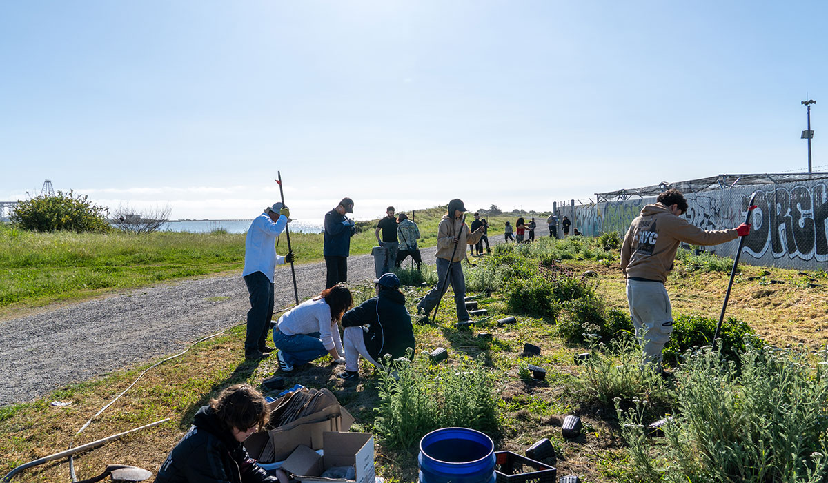 Students gardening outside next to an industrial fence