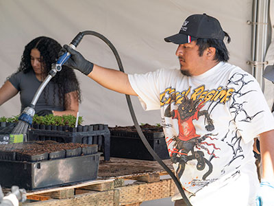 Student using hose to water plans