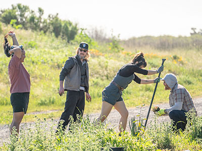 Four students using a large steak to prepare the ground for plans