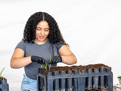 Woman planting in small black pots