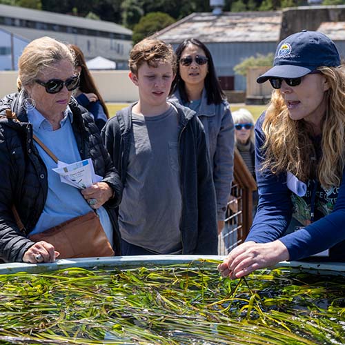 Kathy Boyer talking next to a tank of eelgrass