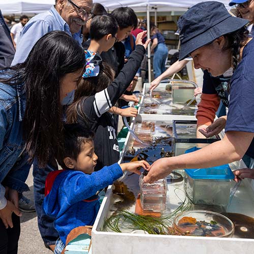 Woman showing a small child marine critters in a touch tank