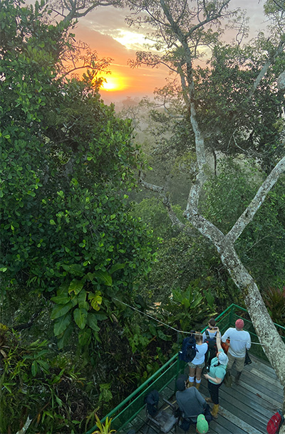 Students standing on a platform in forest watching sunset