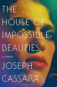 The House of Impossible Beauties book cover 
