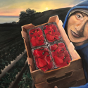 Hannah Baldrige’s “Shining Light” is a painting of a farmworker wearing a blue hoodie and baseball cap carrying crates of strawberries on a field.  