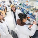 Two students talking to a third student sitting at a microscope