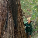 Triana in green sweatshirt looking up at a very large tree