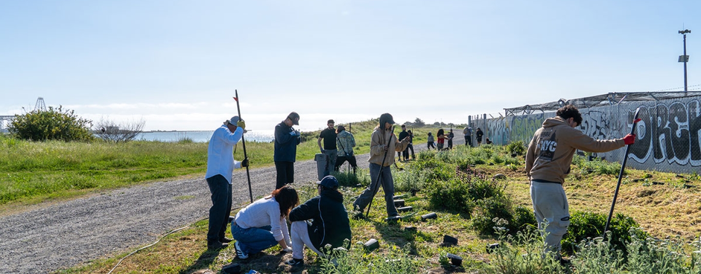 Students gardening outside next to an industrial fence