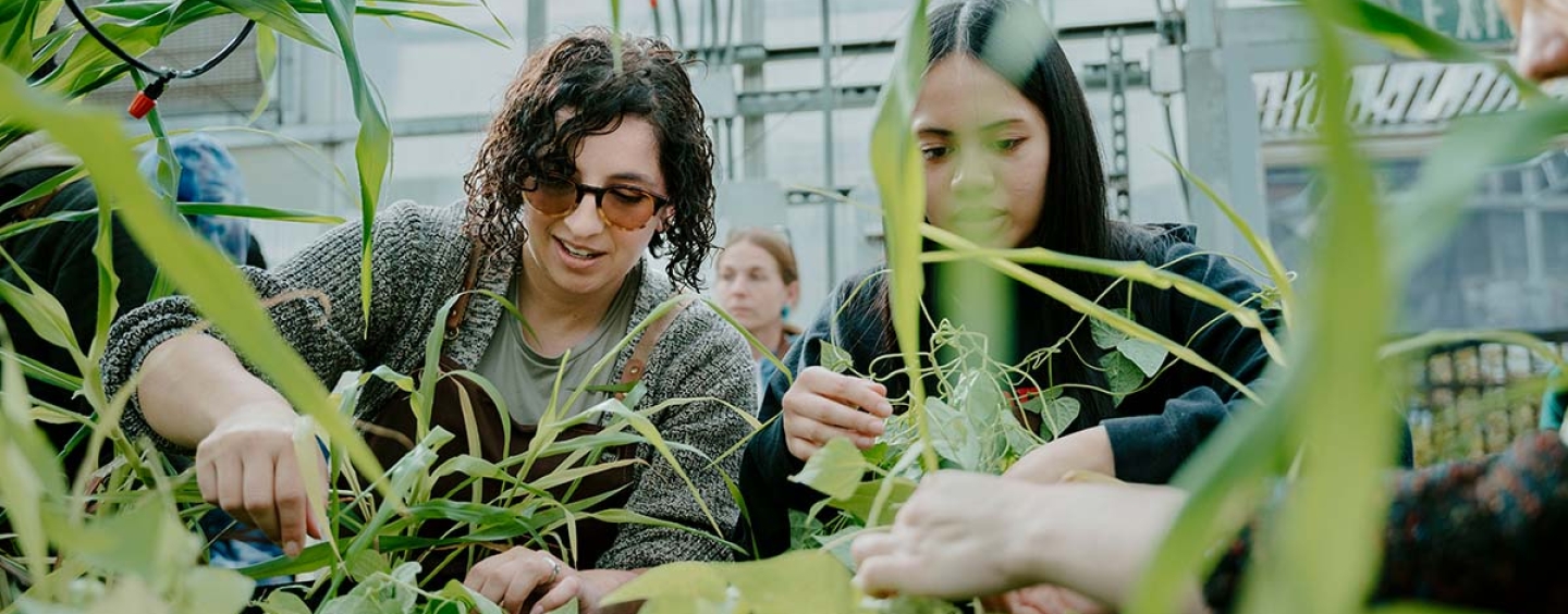 A faculty member and student working in SF State's greenhouse