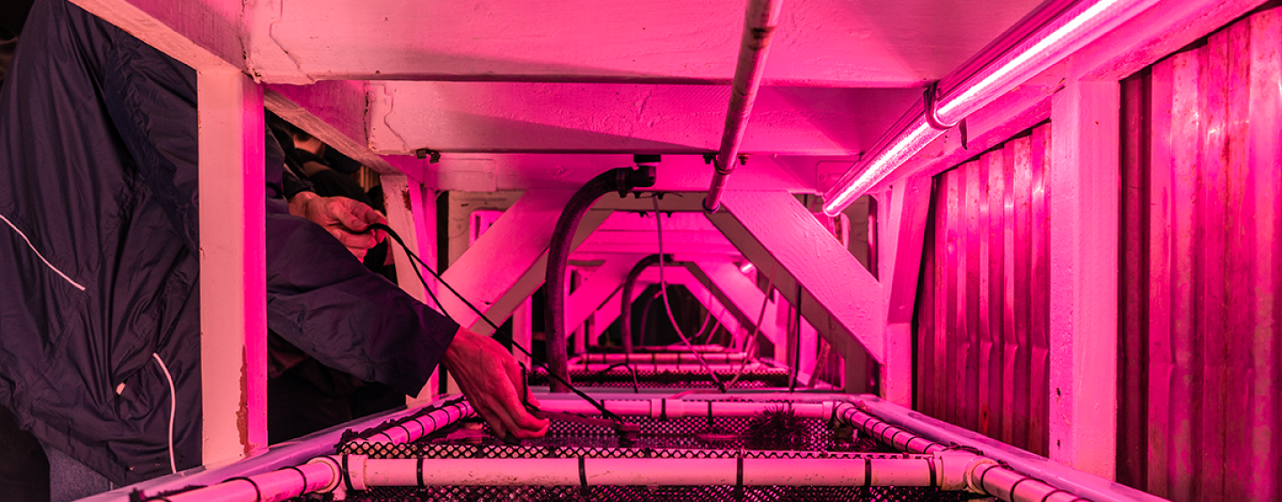 A close-up of a person placing a video camera in a water tank in a room with dark lavender lighting