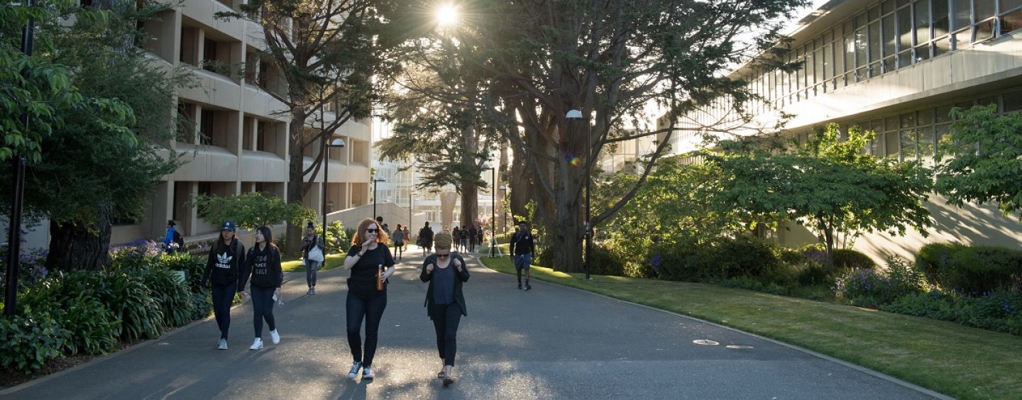 Students walk up a path on campus