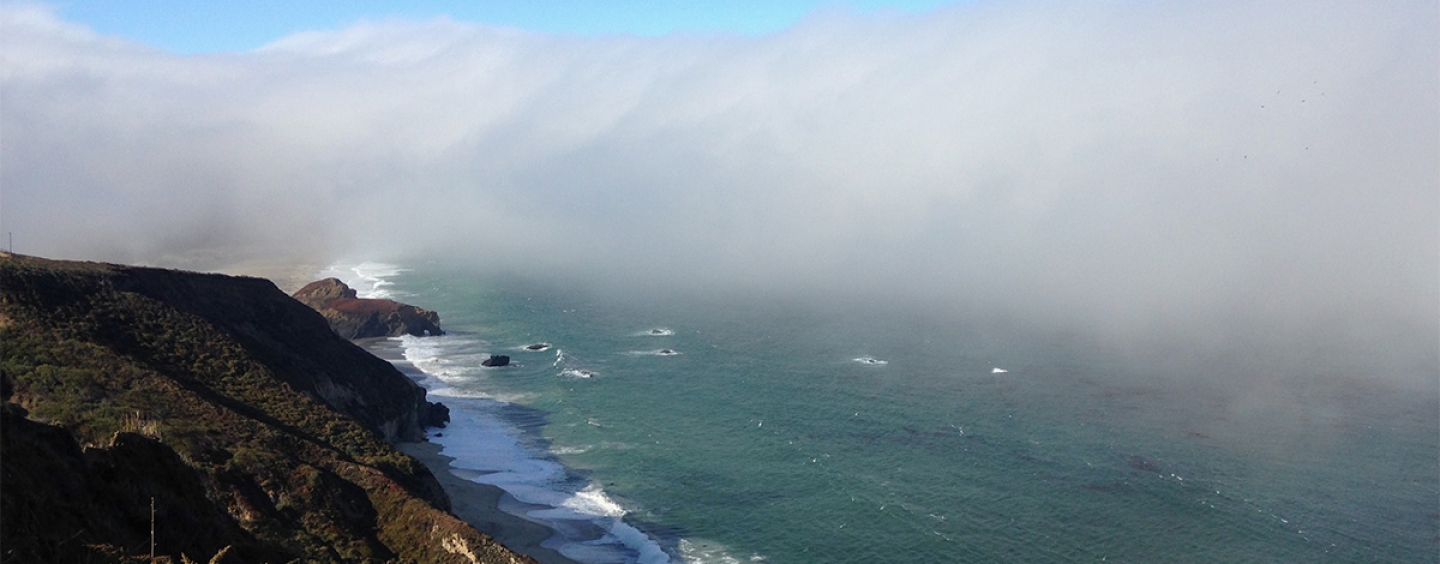coastline with fog in the distance