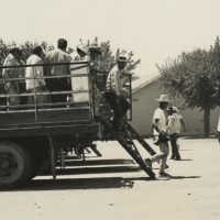 Agricultural workers exit the back of a truck in an archival photo