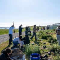 Students gardening outside next to an industrial fence
