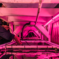 A close-up of a person placing a video camera in a water tank in a room with dark lavender lighting